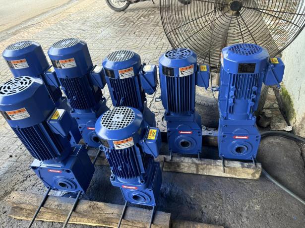 motor giảm tốc nhật bãi
