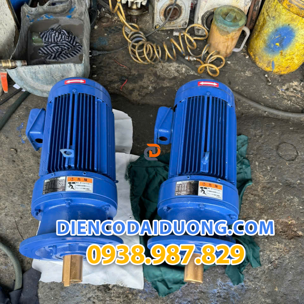 ĐỘNG ĐIỆN CƠ ĐẠI DƯƠNG - 0.75KW ( 1HP )